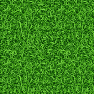 Artificial Grasses