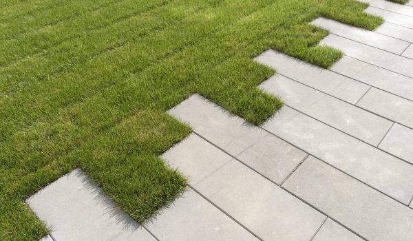 Lawn grass and sidewalk path on the walking area in the garden or park. Landscaping of the lawn and improvement of the territory near the house. High quality photo